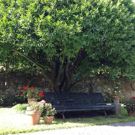 Casa Do Pinheiro - Turismo De Habitacao Pensión *