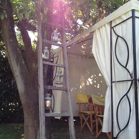 Pensionat Casa Do Pinheiro - Turismo De Habitacao Ponte de Lima