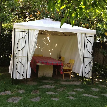 Casa Do Pinheiro - Turismo De Habitacao * Ponte de Lima