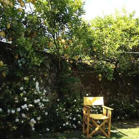 Casa Do Pinheiro - Turismo De Habitacao Pensión Ponte de Lima