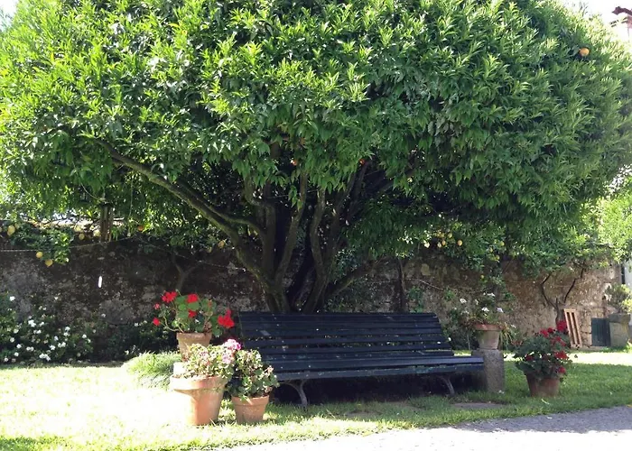 Casa Do Pinheiro - Turismo De Habitacao Gasthof *