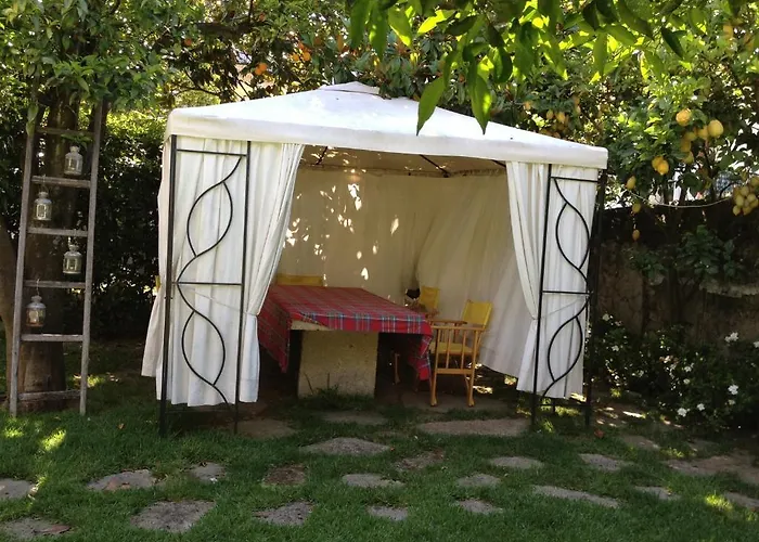 Casa Do Pinheiro - Turismo De Habitacao * Ponte de Lima