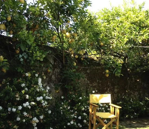 Casa Do Pinheiro - Turismo De Habitacao Gasthof Ponte de Lima